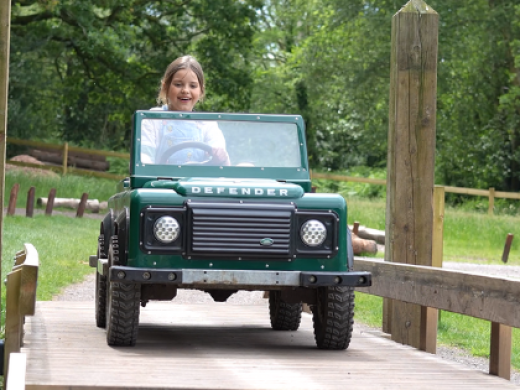 Moors Valley Country Park & Forest: Visitor Guide
