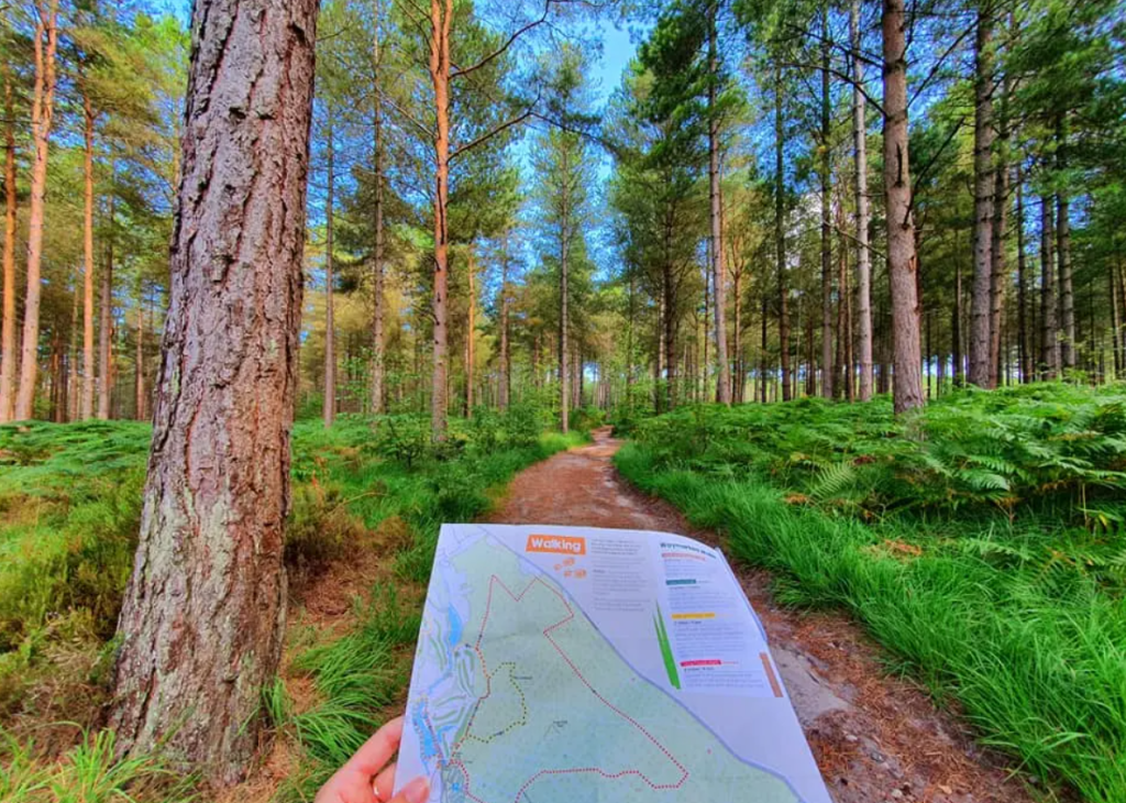 Moors Valley Country Park & Forest: Visitor Guide
