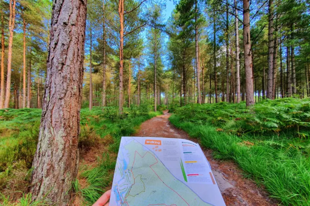 Moors Valley Country Park & Forest: Visitor Guide