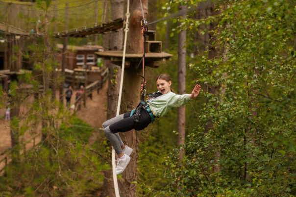 Moors Valley Country Park & Forest: Visitor Guide