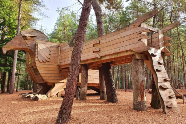 Moors Valley Country Park & Forest: Visitor Guide