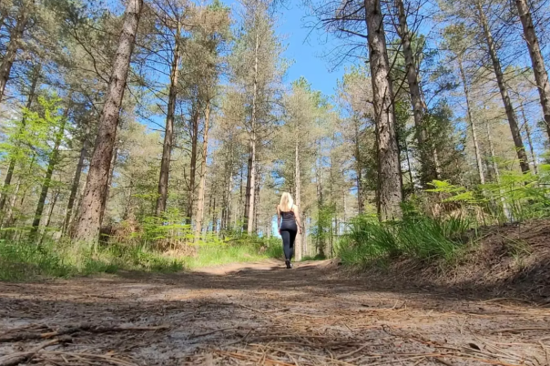 Moors Valley Country Park & Forest: Visitor Guide
