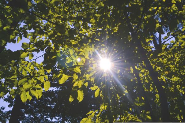 Five Southbourne Places to Visit During a Heatwave