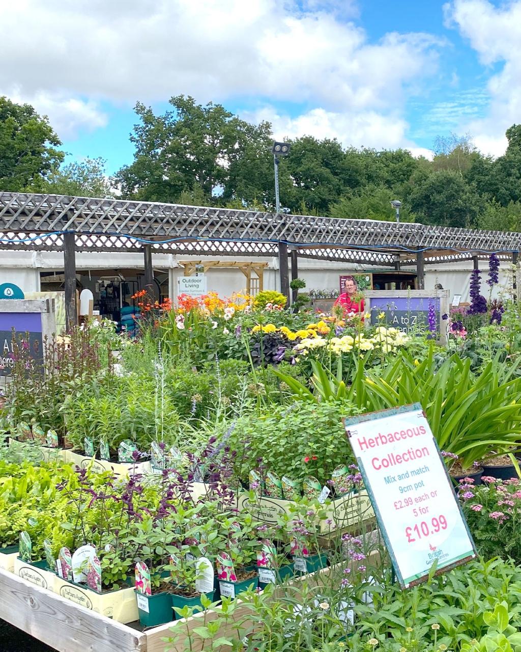 Wimborne Garden Centre
