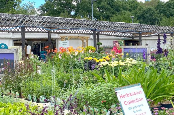 Wimborne Garden Centre