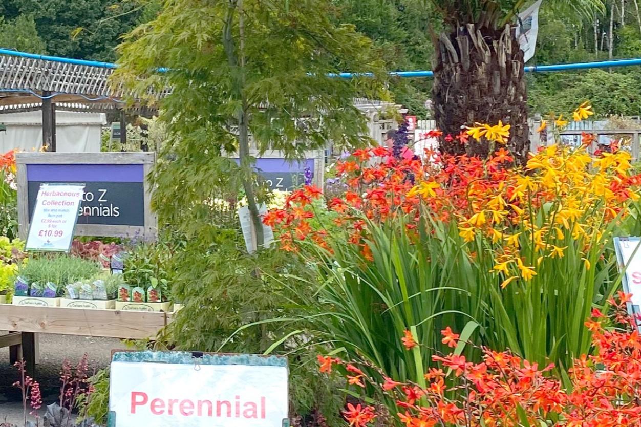 Wimborne Garden Centre