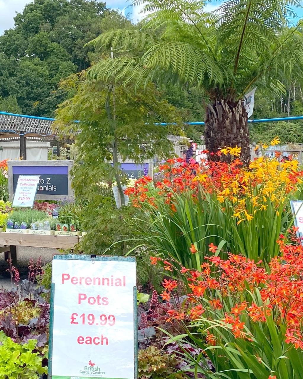 Wimborne Garden Centre