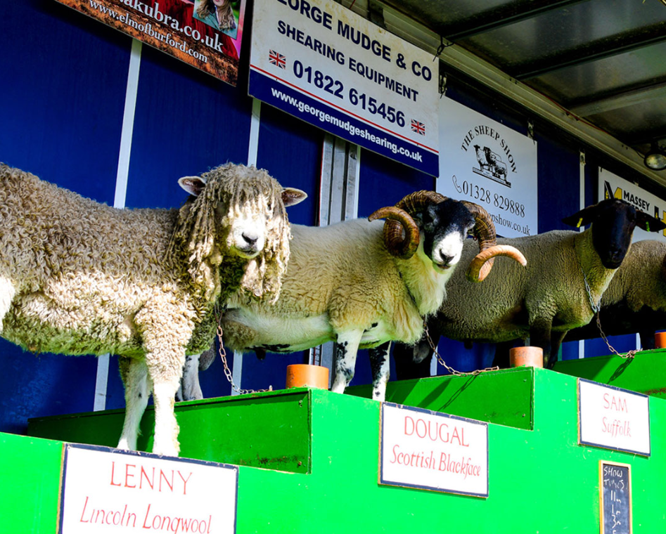 Christchurch Food Festival 2026