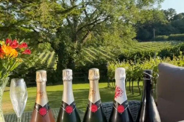 The Dorset Vineyard Edit: Where to Taste English Wine This Autumn