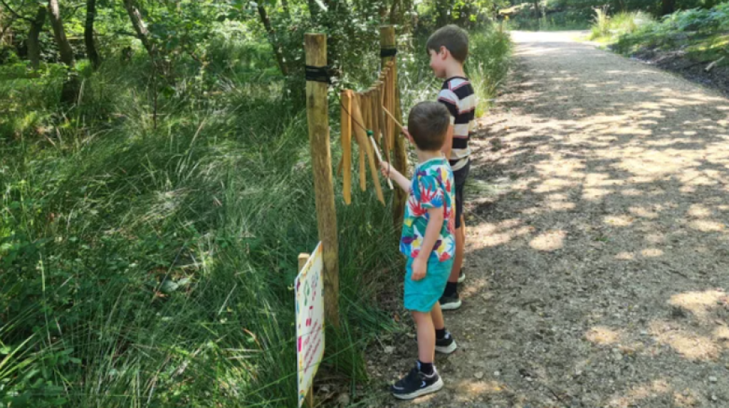 Exploring Brownsea Island: A National Trust Adventure