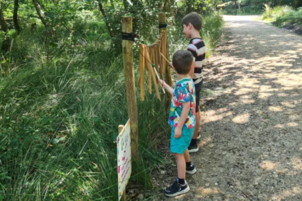 Exploring Brownsea Island: A National Trust Adventure