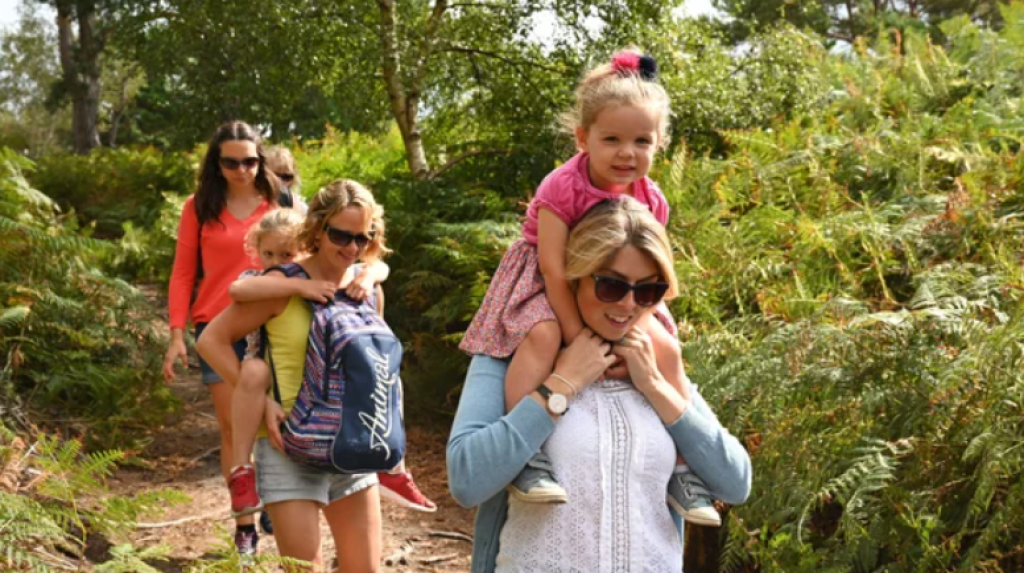 Exploring Brownsea Island: A National Trust Adventure