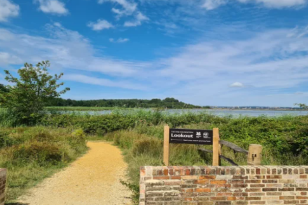 Exploring Brownsea Island: A National Trust Adventure