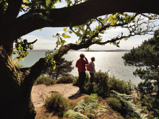 Exploring Brownsea Island: A National Trust Adventure