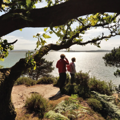 Exploring Brownsea Island: A National Trust Adventure