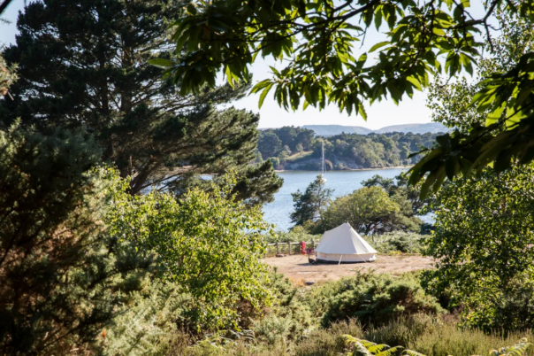 Exploring Brownsea Island: A National Trust Adventure