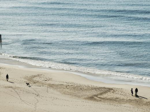 Hidden Gem: Fisherman’s Walk, Southbourne’s Woodland Route to the Sea
