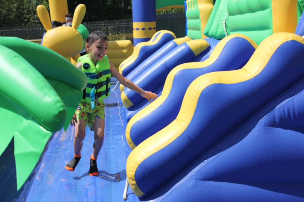 Visiting Dorset Adventure Park: One of the Wildest Family Attractions