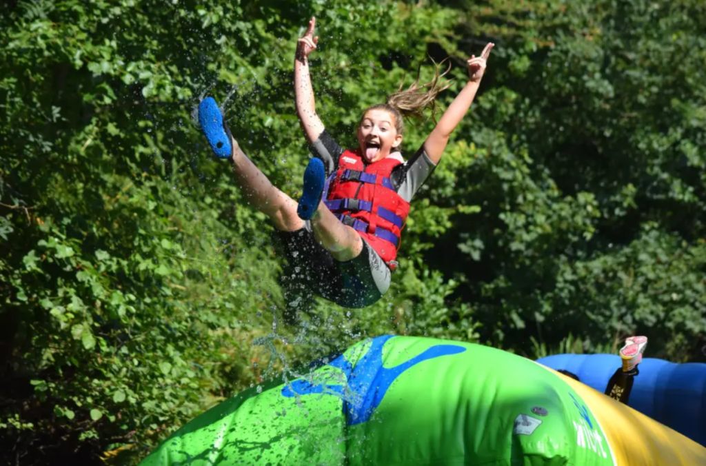 Visiting Dorset Adventure Park: One of the Wildest Family Attractions