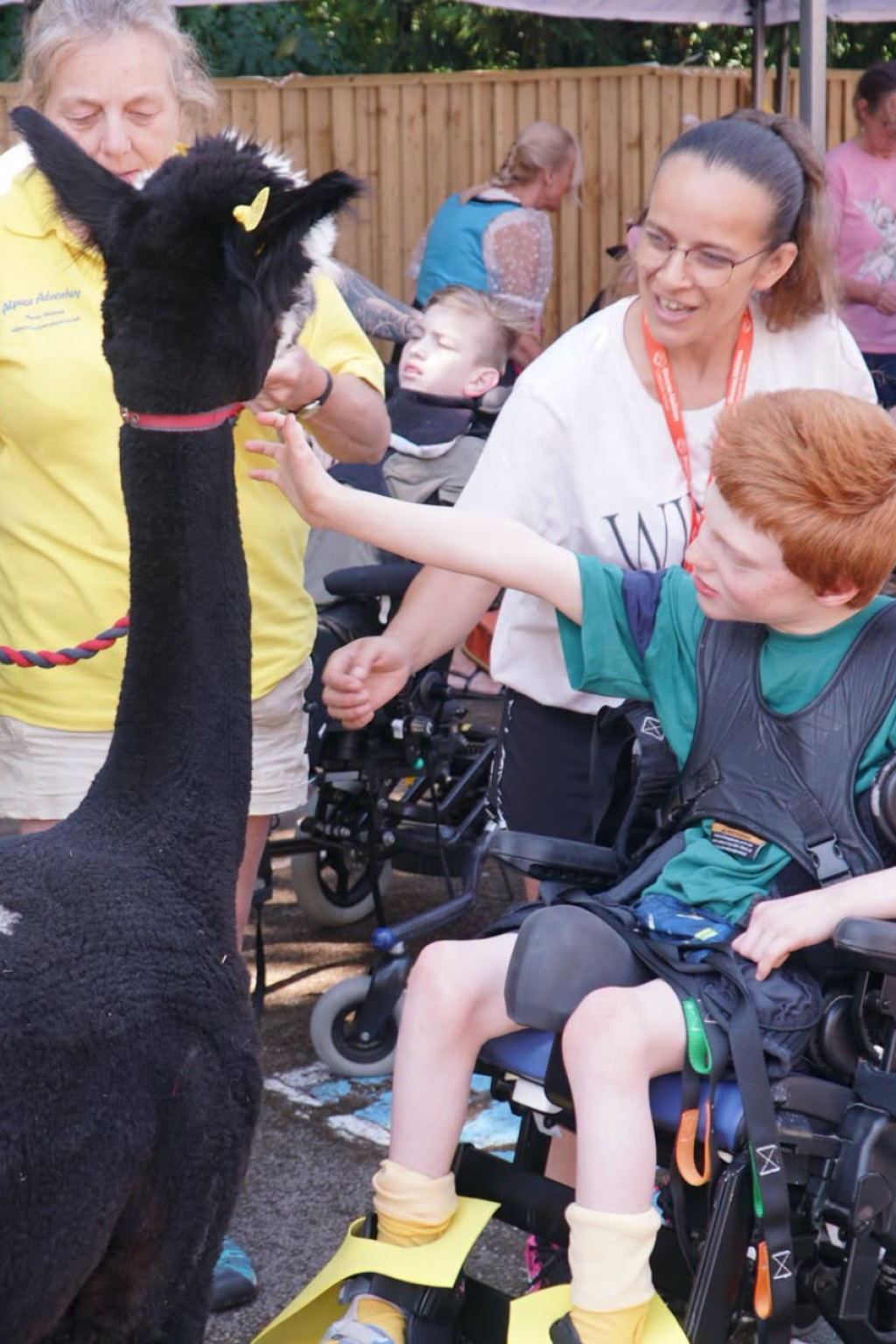 Meet Diverse Abilities: Supporting Families Across Dorset