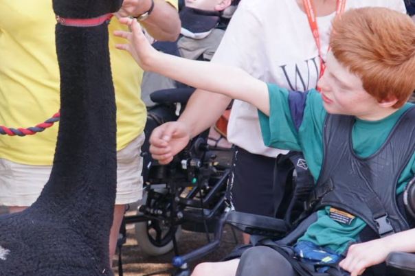 Meet Diverse Abilities: Supporting Families Across Dorset