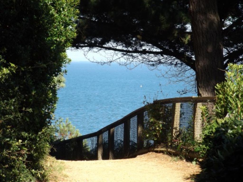 Five Beautiful Bournemouth Walks That Feel Like a World Away