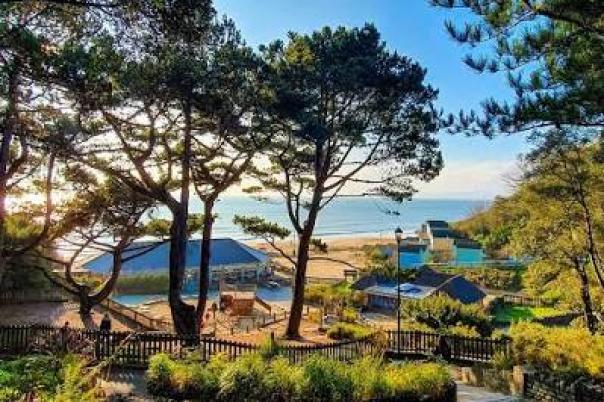Five Beautiful Bournemouth Walks That Feel Like a World Away