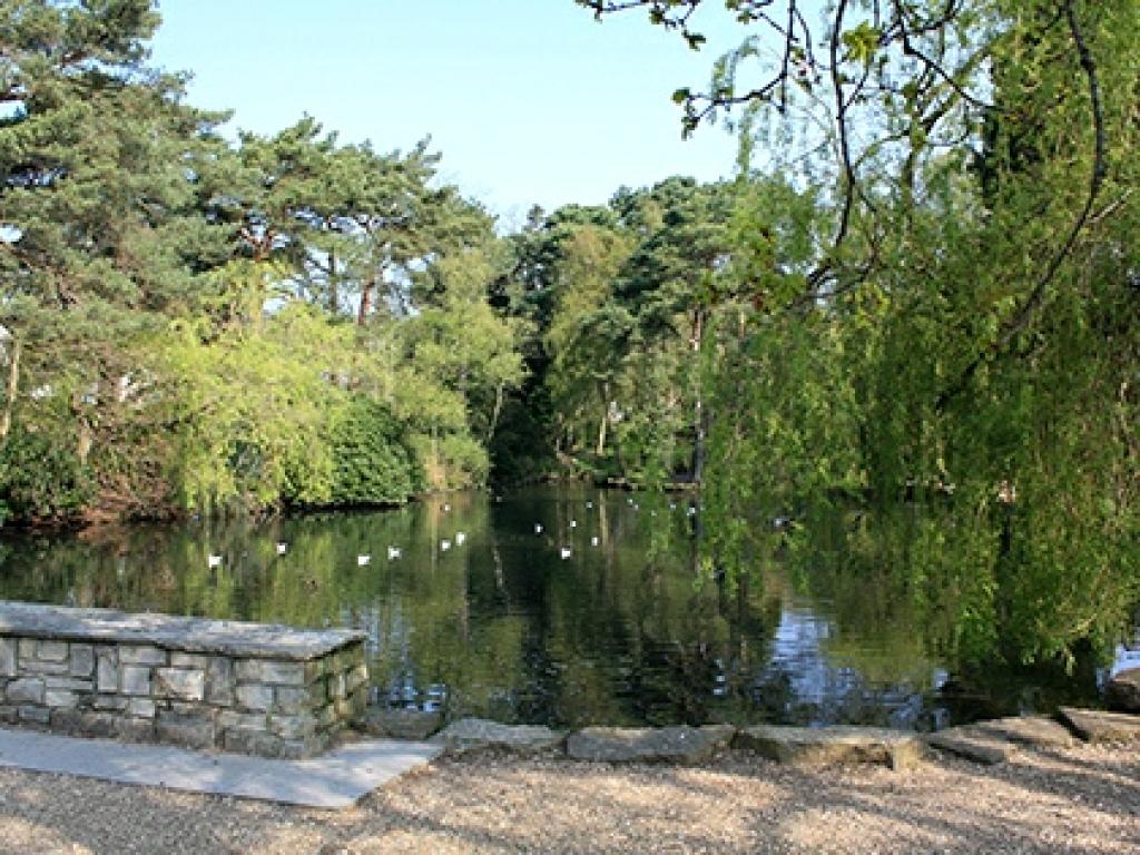 Five Beautiful Bournemouth Walks That Feel Like a World Away