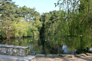 Five Beautiful Bournemouth Walks That Feel Like a World Away