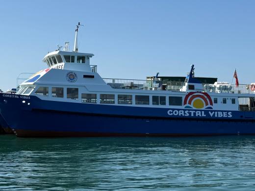 Dorset 'Coastal Vibes' Cruises from Weymouth - Boat Trips & Jurassic Coast Experiences