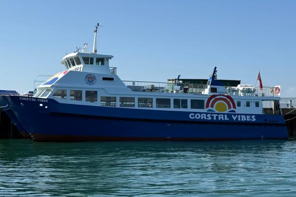 Dorset 'Coastal Vibes' Cruises from Weymouth - Boat Trips & Jurassic Coast Experiences