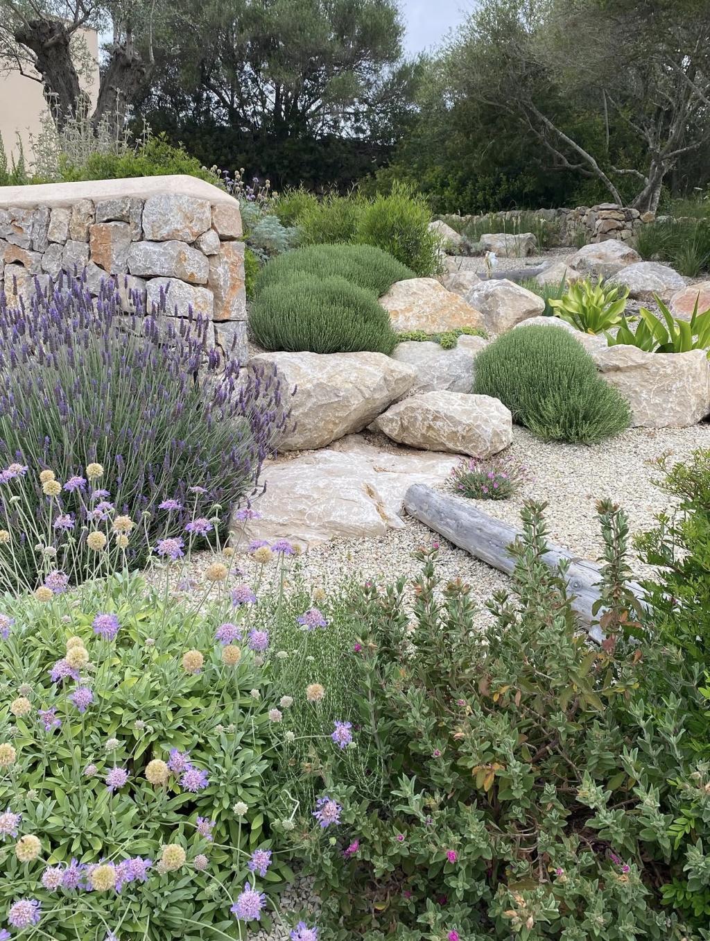 Mediterranean Style: The Latest Garden Trend We Love in Bournemouth
