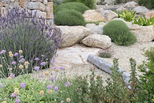 Mediterranean Style: The Latest Garden Trend We Love in Bournemouth