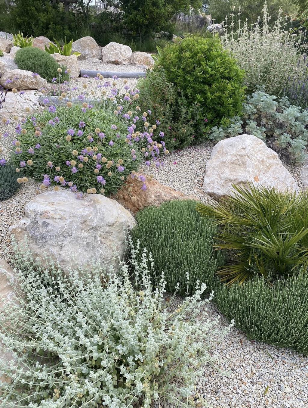 Mediterranean Style: The Latest Garden Trend We Love in Bournemouth