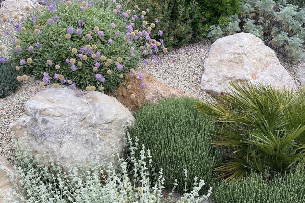 Mediterranean Style: The Latest Garden Trend We Love in Bournemouth