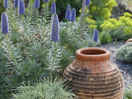 Mediterranean Style: The Latest Garden Trend We Love in Bournemouth