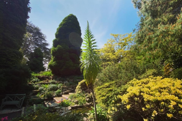 Compton Acres Poole