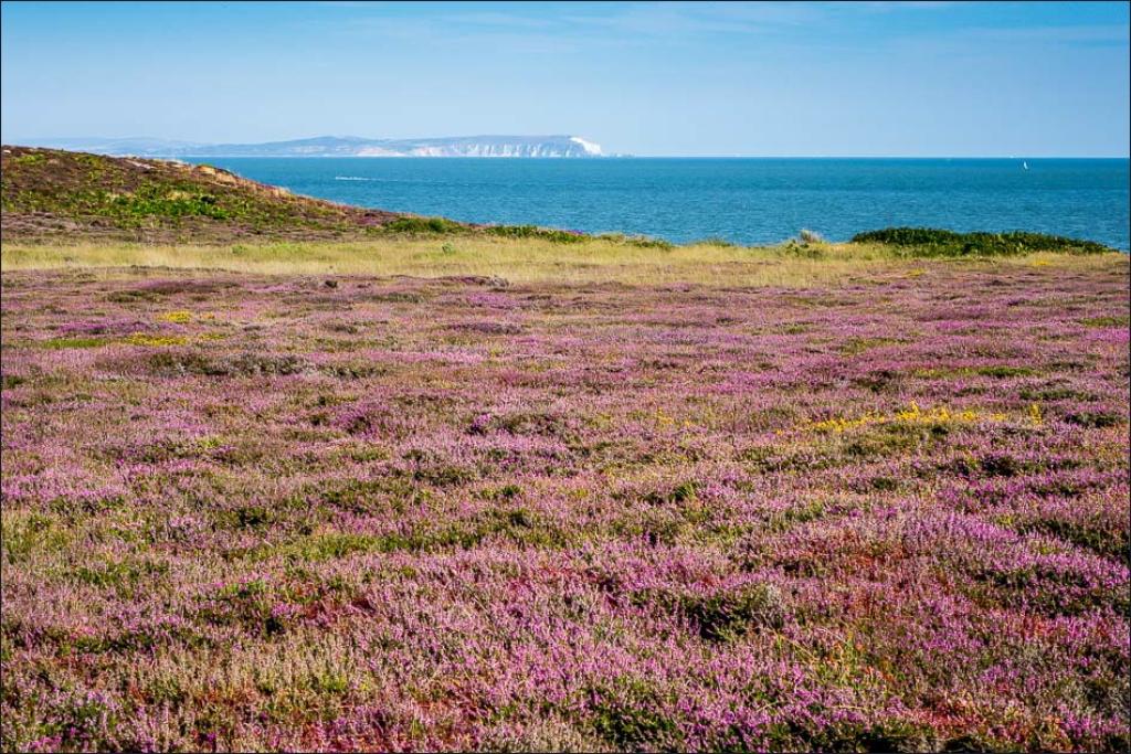 Five Southbourne Walks for Coffee, Clifftops and Sea Air