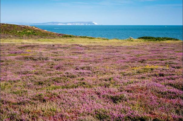 Five Southbourne Walks for Coffee, Clifftops and Sea Air