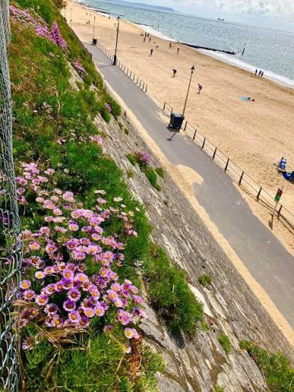 Five Southbourne Walks for Coffee, Clifftops and Sea Air