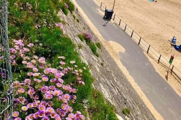 Five Southbourne Walks for Coffee, Clifftops and Sea Air