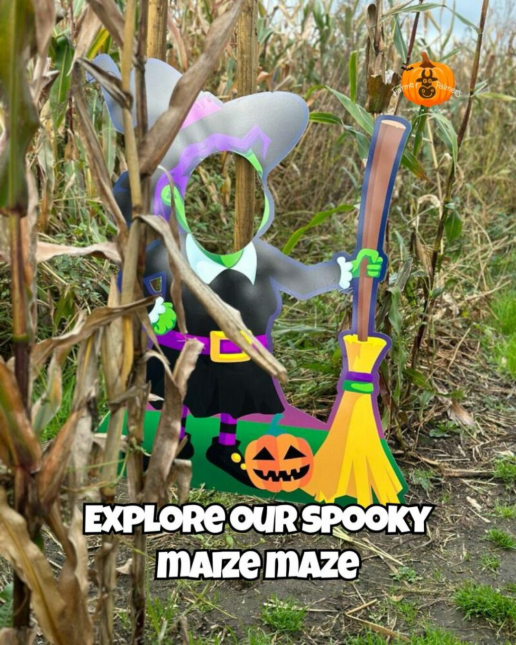 Halloween Events in Poole 2026: Family Days Out, Trails and Spooky Shows