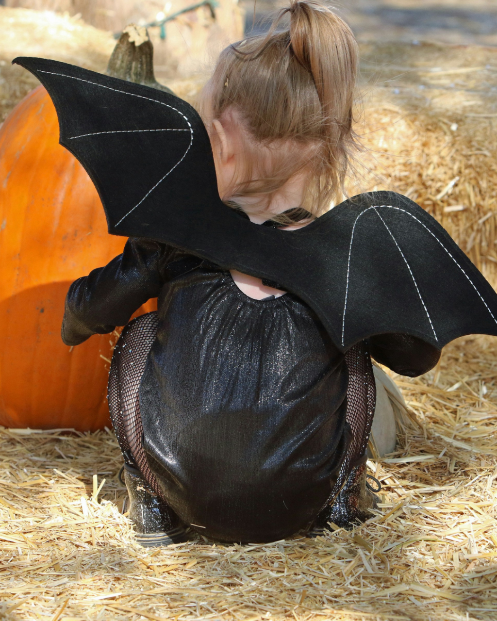 Halloween Events in Poole 2026: Family Days Out, Trails and Spooky Shows