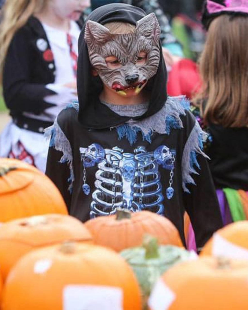 Halloween Events in Poole 2026: Family Days Out, Trails and Spooky Shows