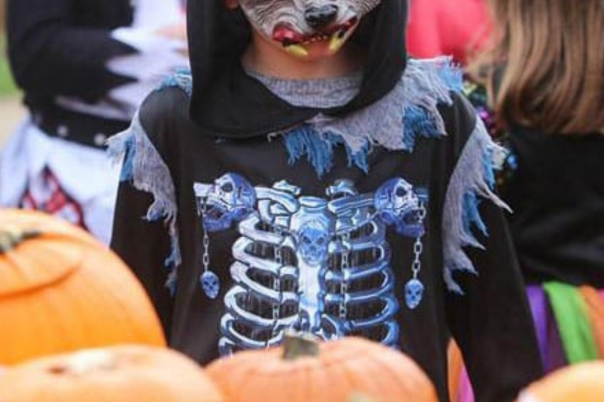 Halloween Events in Poole 2026: Family Days Out, Trails and Spooky Shows