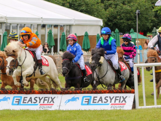 Melplash Show | 27 August 2026