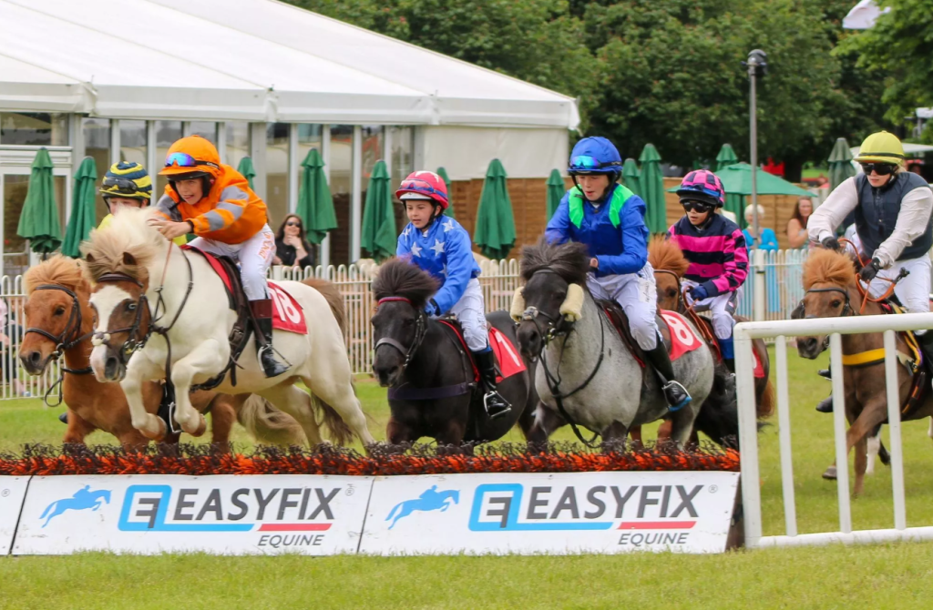 Melplash Show | 27 August 2026