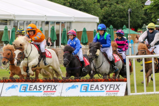 Melplash Show | 27 August 2026