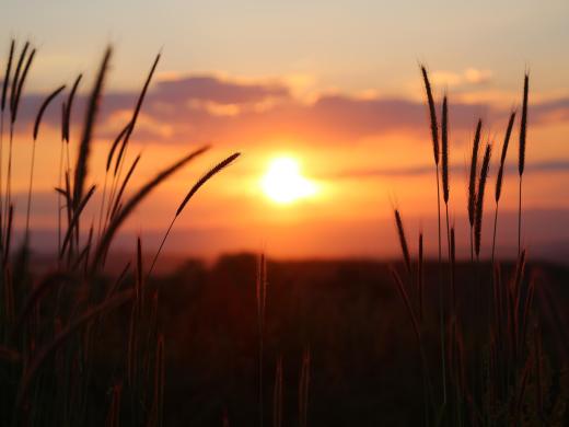 Summer Nights in Bournemouth You Will Want to Experience