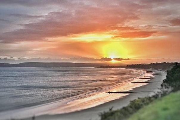 Top 5 Bournemouth Events to Enjoy this February